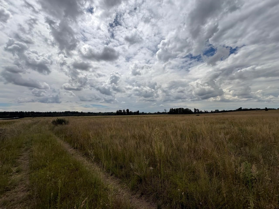 0 Bedroom Property for Sale in Vaalpark Free State